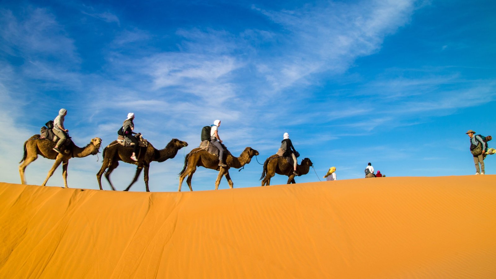 مرزوكة: جوهرة الصحراء المغربية