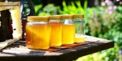 فوائد العسل: 20 فائدة صحية مثبتة علمياً